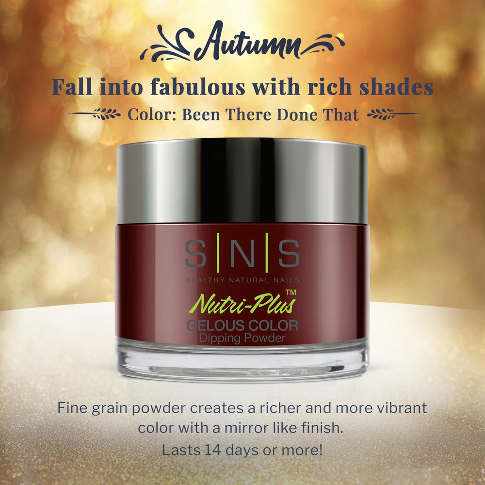 SNS Nail Dip Powder Been There Done That color swatches for shade reference.
