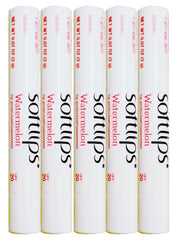 SoftLips Watermelon flavored lip balm stick with SPF 20 protection and hydration