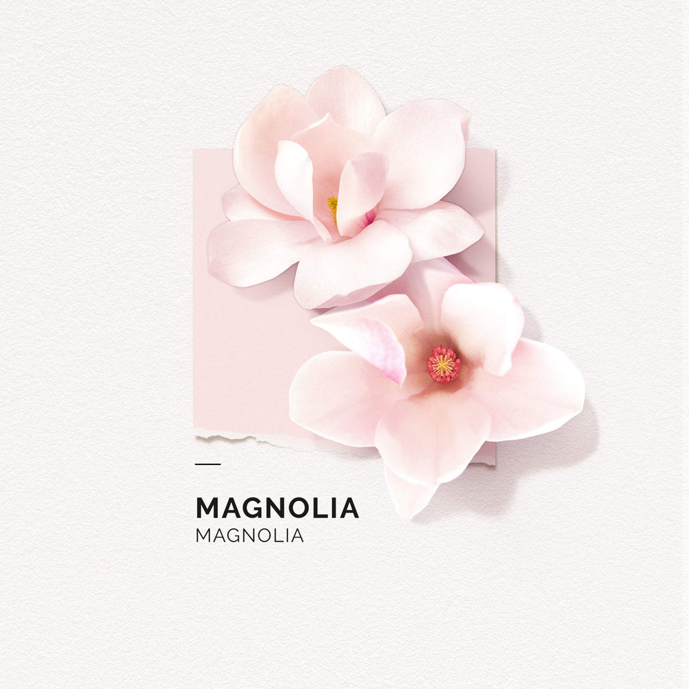 Person applying Solinotes Magnolia to pulse points for a refined aroma