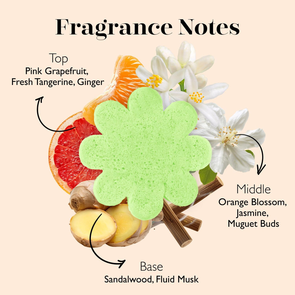 Spongellé Cocoa Mango Shea Butter infusion on buffer surface for skin nourishment