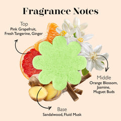 Spongellé Cocoa Mango Shea Butter infusion on buffer surface for skin nourishment