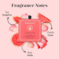 SPONGELLÉ Grapefruit Cassis buffer close-up shows exfoliating texture