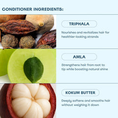 Kokum butter and moringa oil imagery signaling moisture and softness