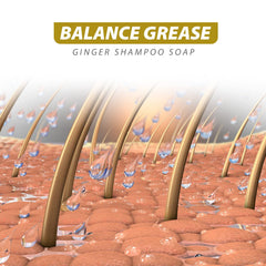 Natural ingredients like camellia and olive oil shown for mild scalp care with Starhig.