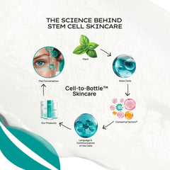 STEM Natural Intelligence Revitalize Night Cream texture swirl illustrates rich overnight nourishment