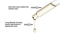 STEMBOTANY BioPureMED lab process signals strict quality control