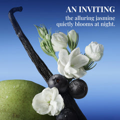 Sttes Smell Rio Midnight Jasmine outer packaging signals premium gift appeal.