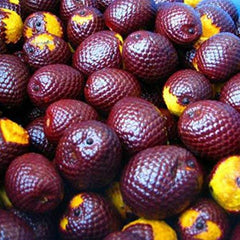Sweet Essentials Buriti oil dropper — precise application to face, scalp, and ends.