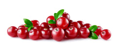 Sweet Essentials amber bottle preserves freshness and potency of cranberry seed oil.