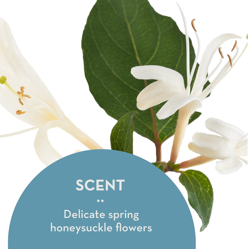 Ingredients panel of The Organic Skin Co Dream Cream with key botanicals