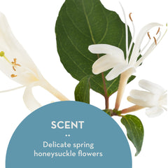 Ingredients panel of The Organic Skin Co Dream Cream with key botanicals
