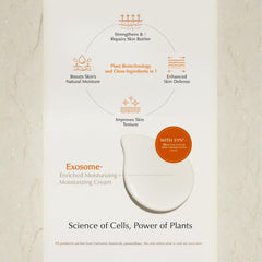 Graphic of ingredients featuring exosome, Niacinamide, and plant actives.