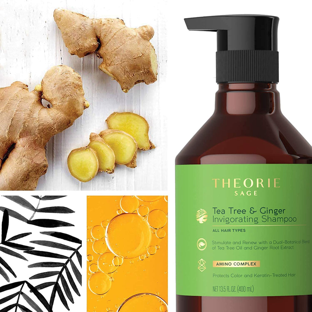 Theorie Tea Tree Ginger shampoo with natural oils for moisture
