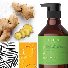 Theorie Tea Tree Ginger shampoo with natural oils for moisture