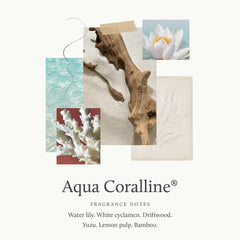 Thymes Aqua Coralline scrub texture with jojoba beads for gentle exfoliation.