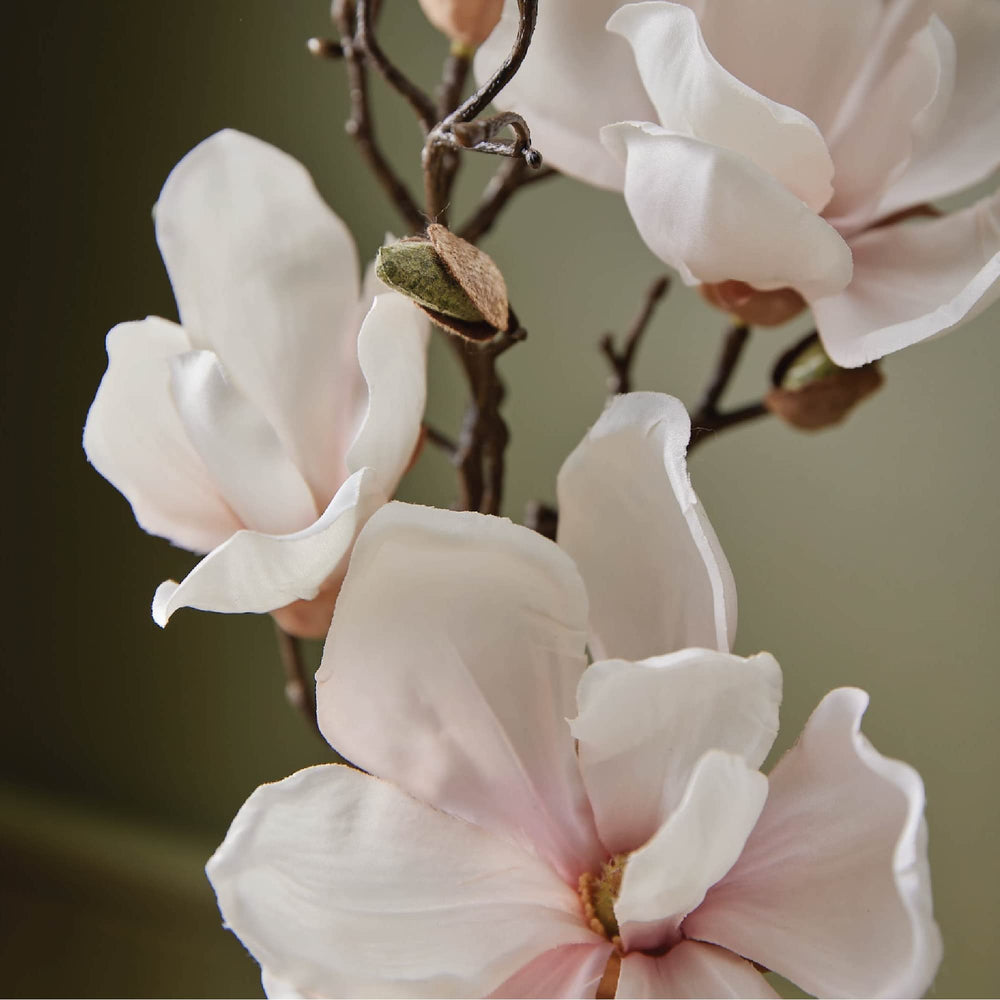 Thymes Magnolia Willow pump-dispense bottle for easy, mess-free use.