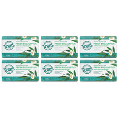 Tom's of Maine Fresh Eucalyptus fragrance enhancing shower experience
