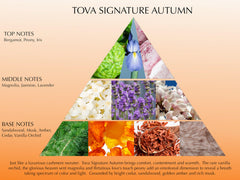Tova Signature Autumn on dresser, ideal for daily fragrance rotation.