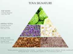 Tova Signature on vanity shelf, timeless fragrance for daily wear.