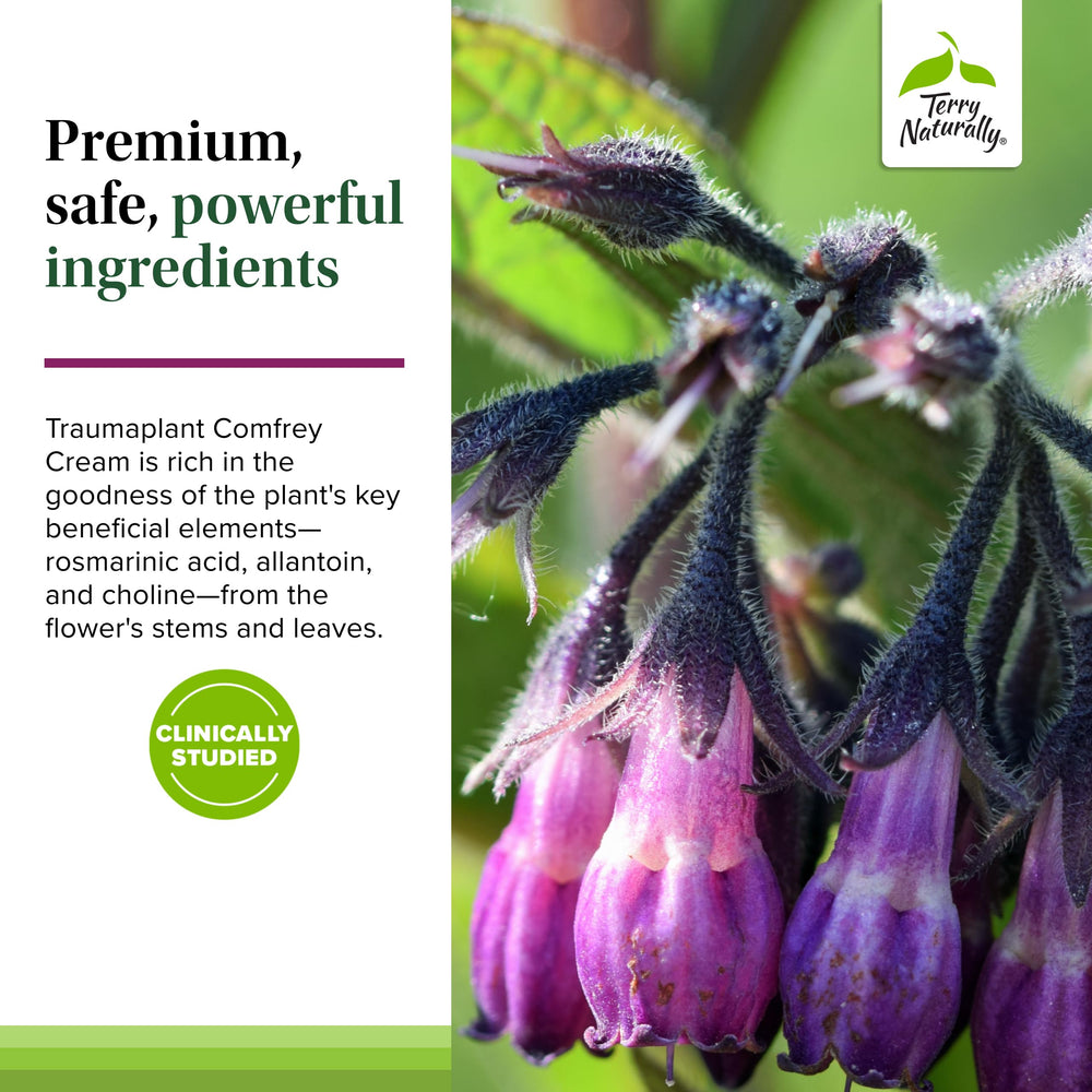 Traumaplant cream used by a family for everyday skin care suitable for adults and kids 4+