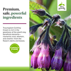 Traumaplant cream used by a family for everyday skin care suitable for adults and kids 4+