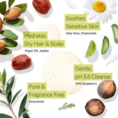Lighter lather of Tree to Tub fragrance-free shampoo shown as foam