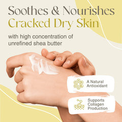 True Shea infusion with sunflower and coconut oils nourishing the skin