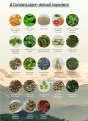 TS Shampoo Plus highlights Biotin Panthenol and Caffeine