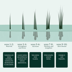 TUDPA Eyelash Serum USA testing badge indicating safety and quality