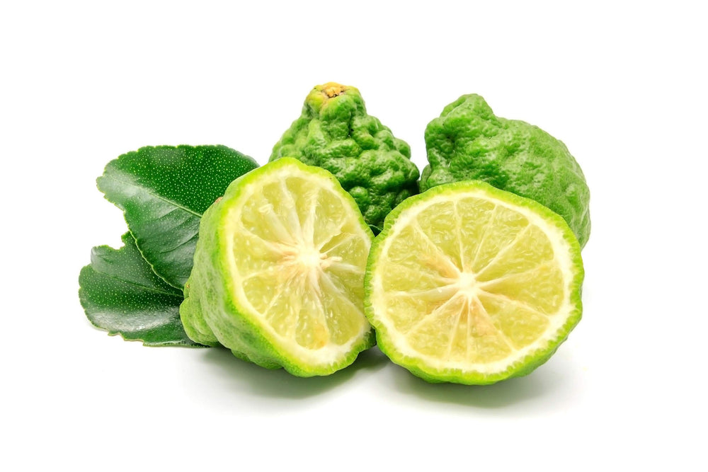 US Organic Bergamot Oil Italy sourcing highlights Italian harvest and careful extraction