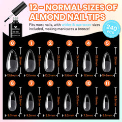 VANREESA base and top coat bottles arranged for easy use