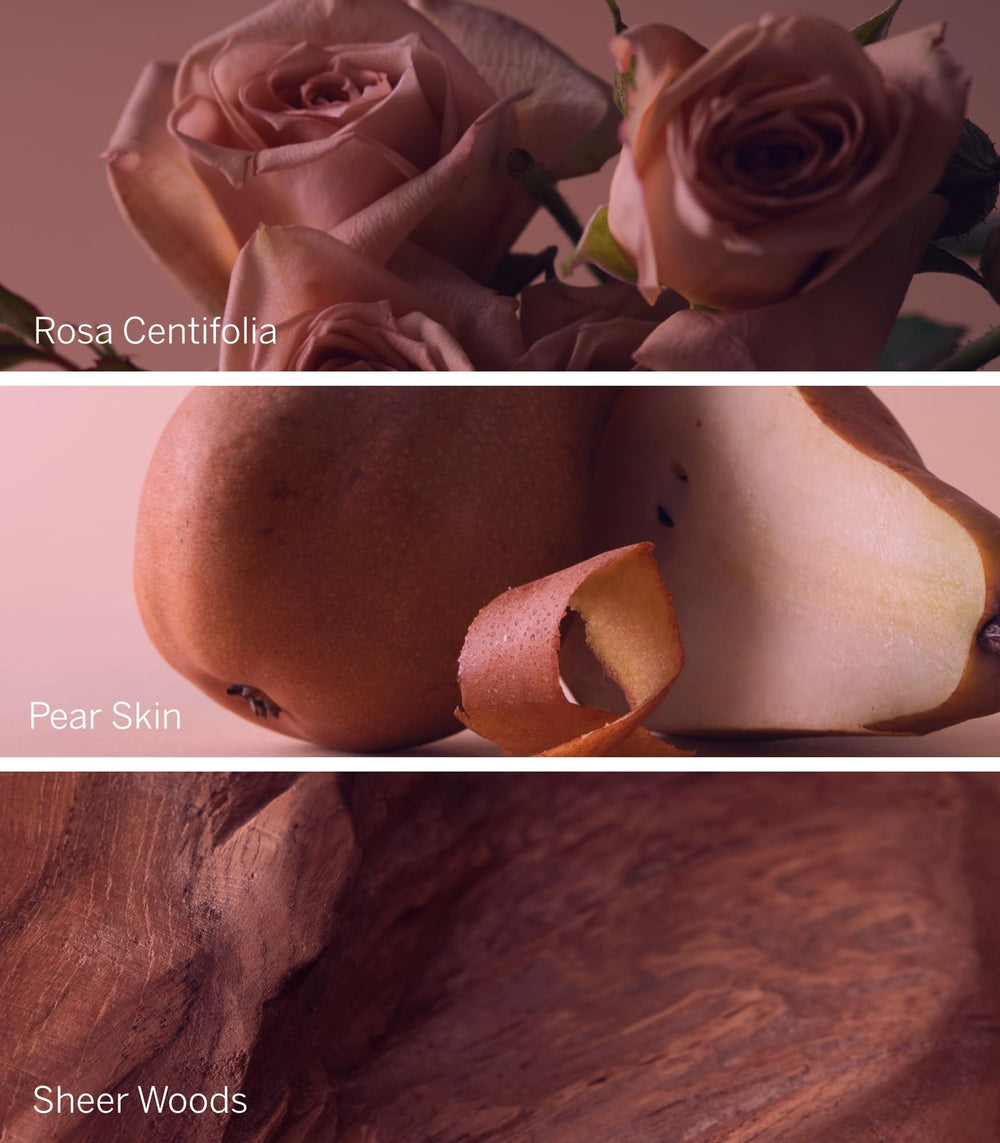 Victoria's Secret Bare Rose Lotion sheer woods backdrop evokes warm fragrance.