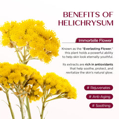 Vigority Helichrysum Balm ingredients panel highlighting natural botanicals.