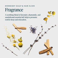 VIRTUE Correct Overnight Elixir peptide blend illustration suggesting advanced scalp support.