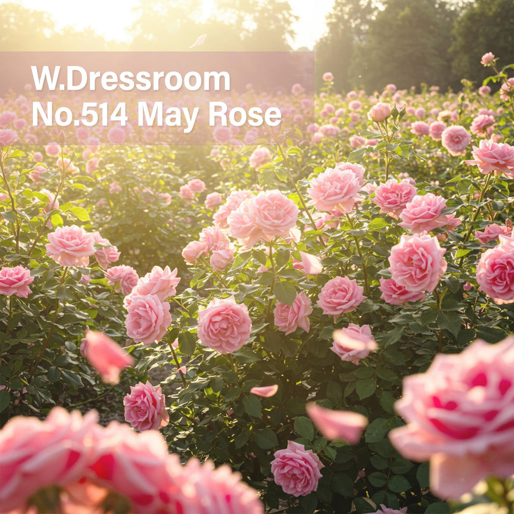 W.Dressroom travel-size tube packaging highlights compact grab-and-go care