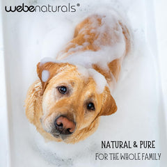 WEBE soap for dishes in a kitchen setup