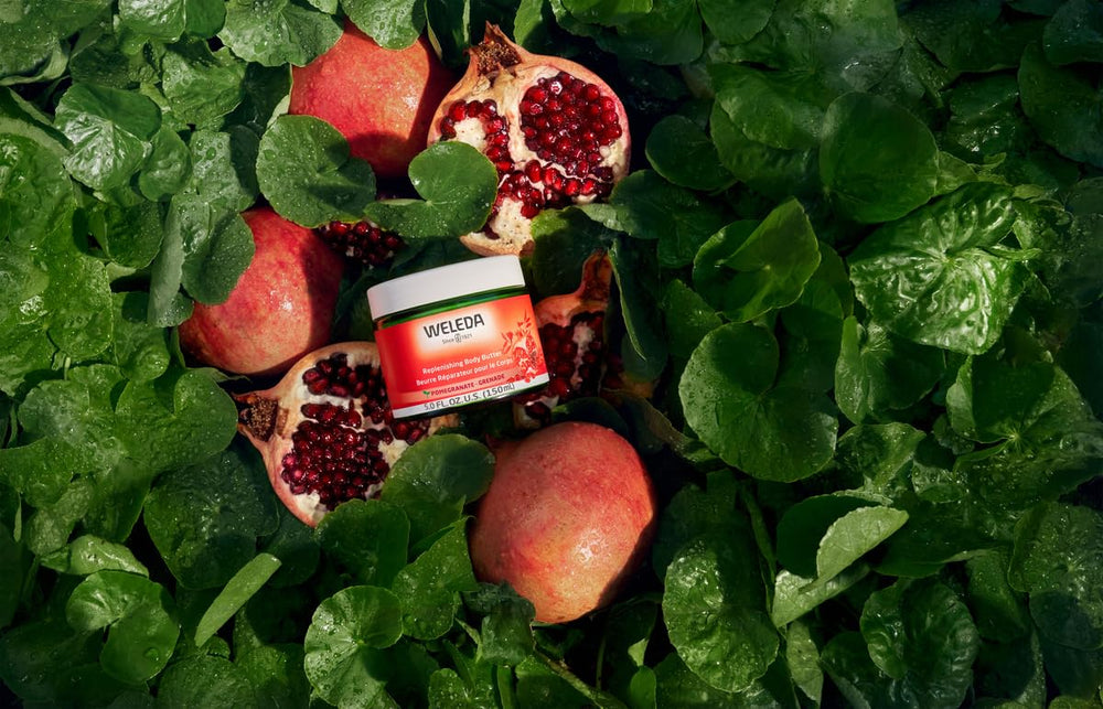 Detail on pomegranate seed oil as a key antioxidant ingredient
