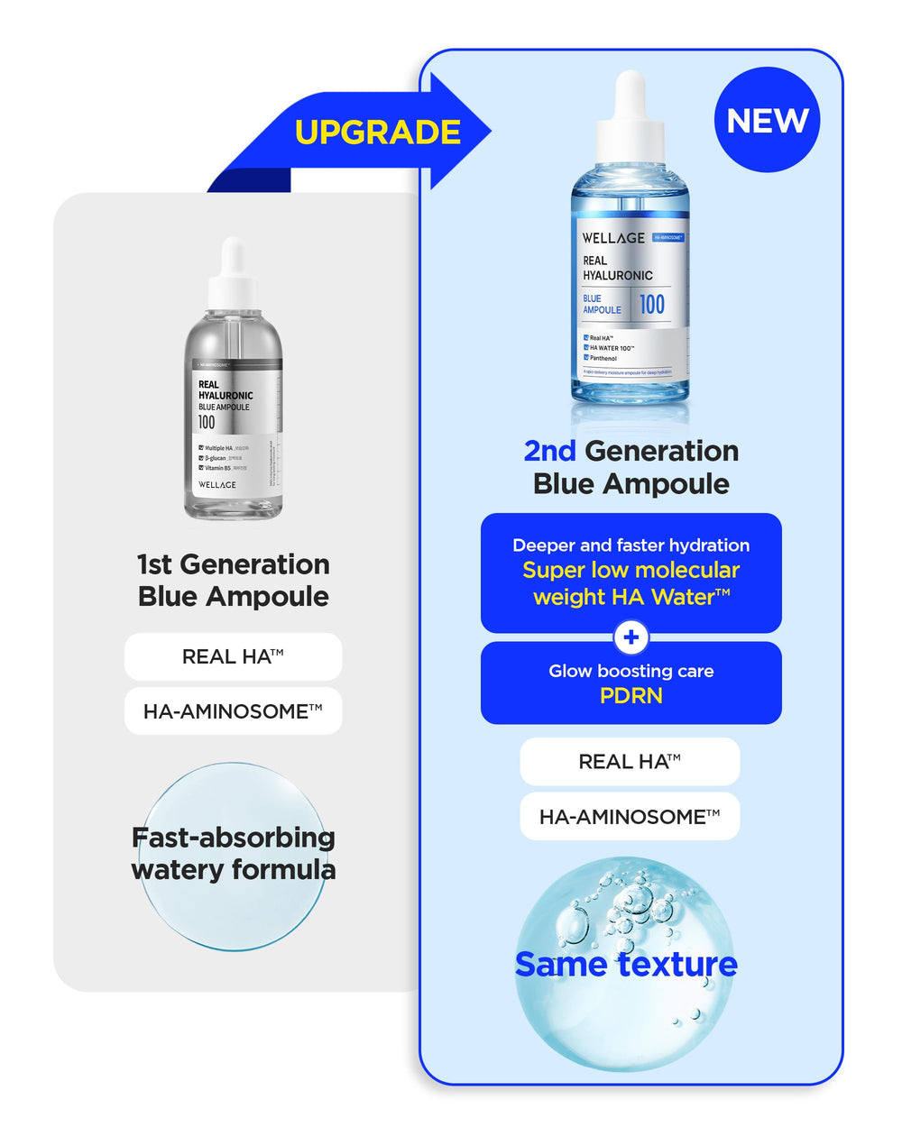 Wellage Real Hyaluronic Blue Ampoule dropper enables precise, repeatable application.