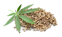 Wellness Premium Organic Hemp Shampoo packaging with 500 ml size for daily use