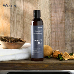 Westin White Tea Aloe Shampoo application scene shows easy daily use