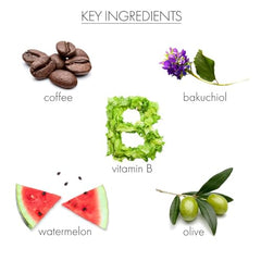 Whish Bakuchiol cream niacinamide ingredient closeup for moisture retention