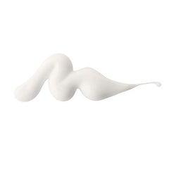 Whish Bakuchiol Primer with sea buckthorn emphasizes hydrating formula.