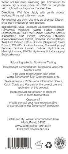 Wilma Schumann Purifying Facial Cleanser gel application for daily use on acne-prone skin