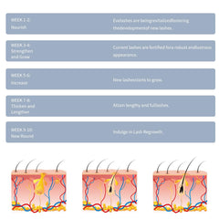 Key ingredients allantoin and niacinamide in XIMIGEYEFU serum