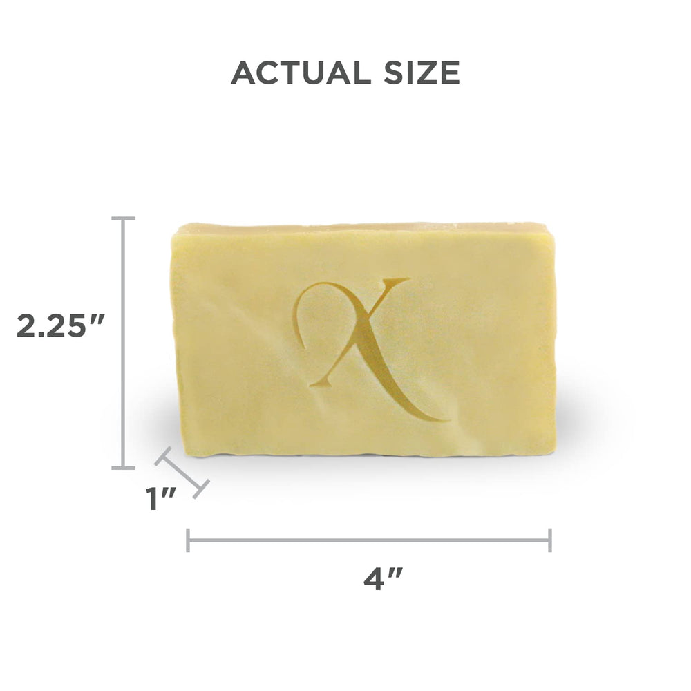 Xotics Spinners Wave Soap Bar packaging in hand