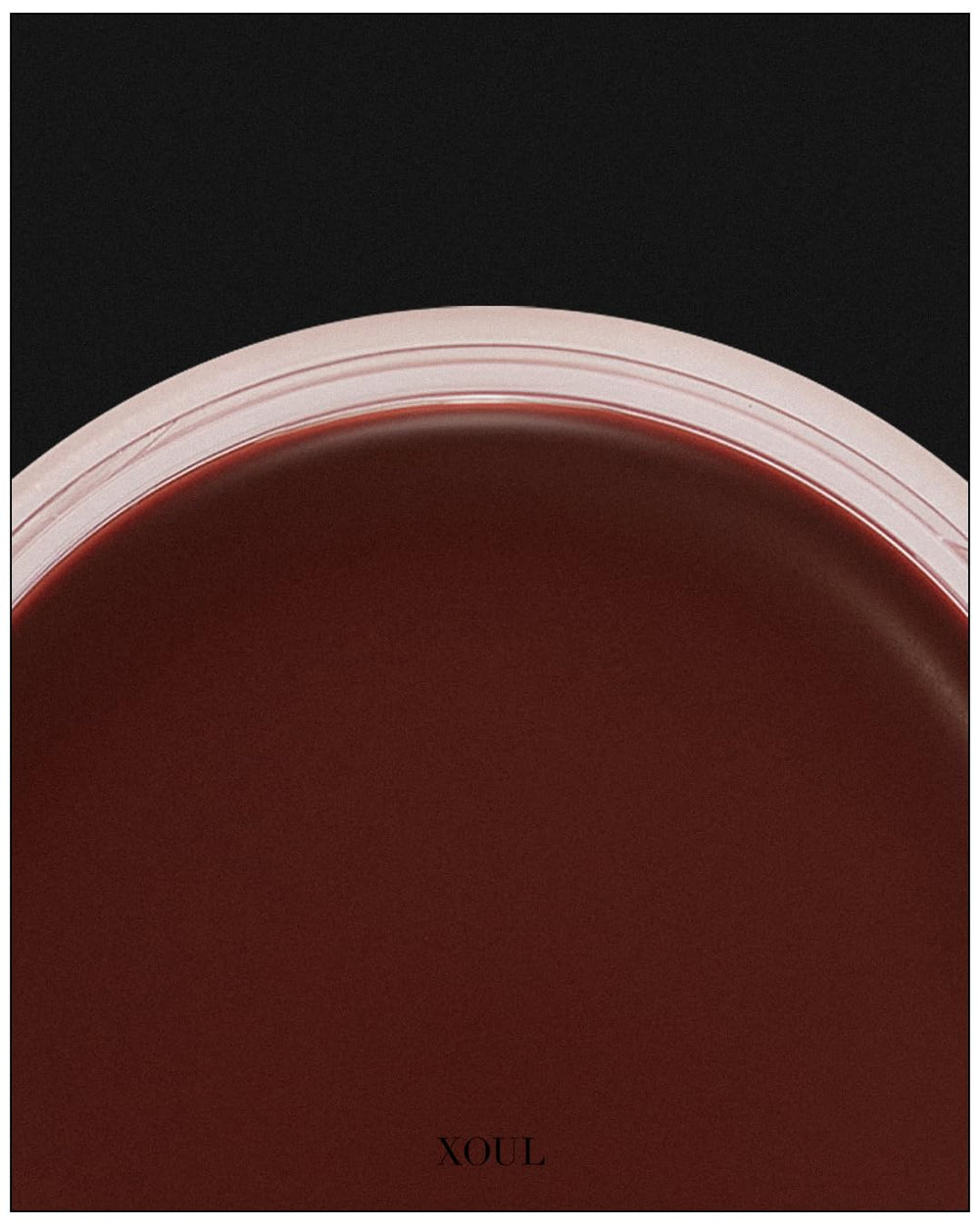 XOUL Ever Moist Lip Balm glossy finish for smooth, radiant lips