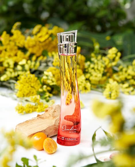 Yanbal Osadia Infinita parfum bottle cap highlights premium packaging for a bold impression