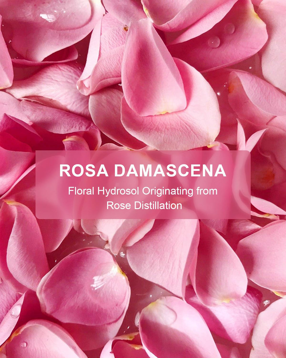 Yoken Rose Water for hair, light spray to revive shine and softness.