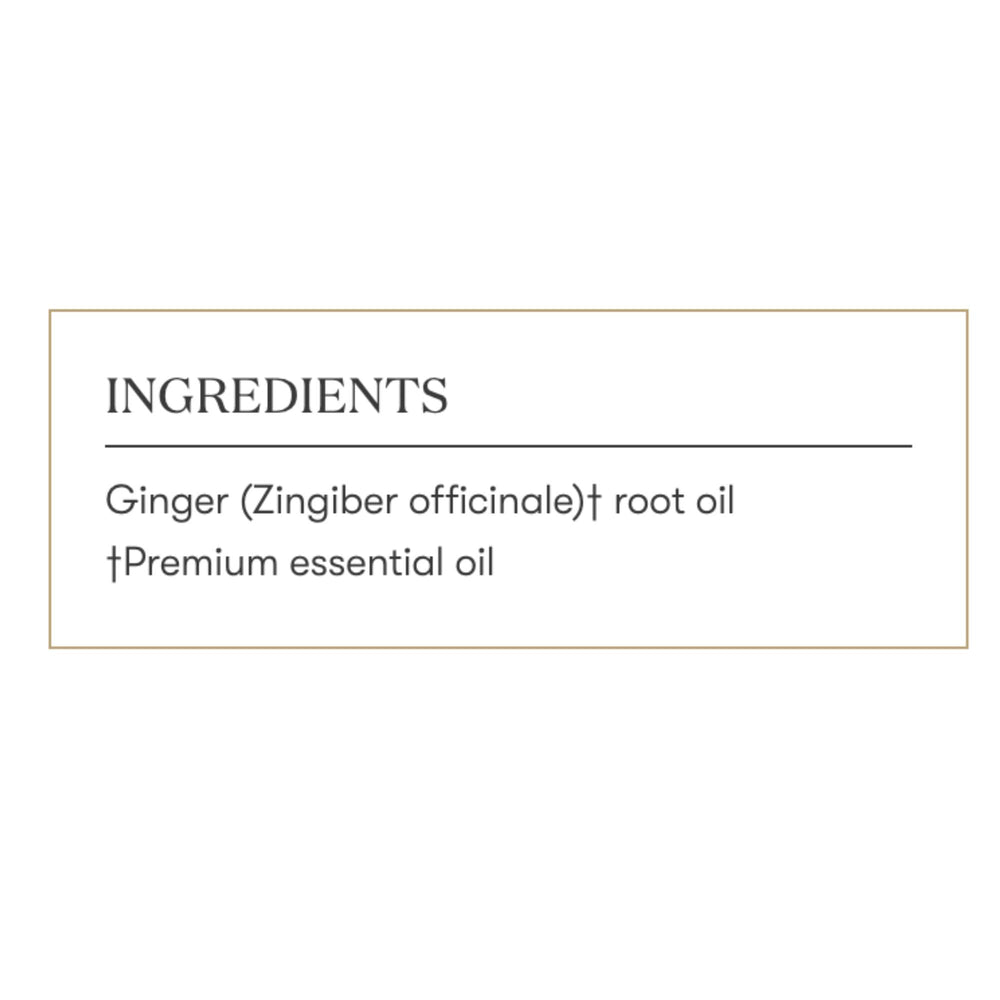 Cozy cooking scene showing Ginger Vitality enhancing meals.