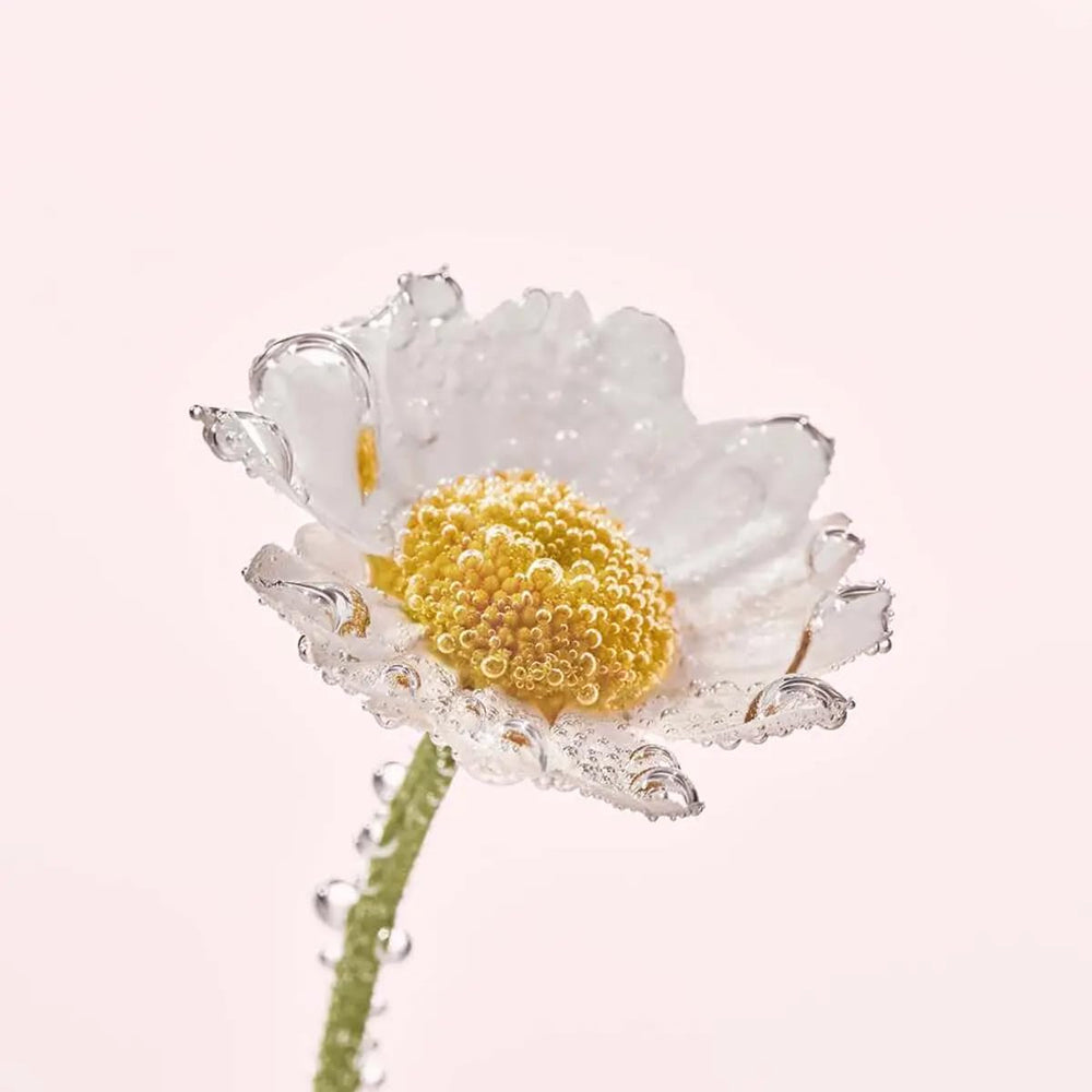 Hands applying calendula cream for day and night routine.